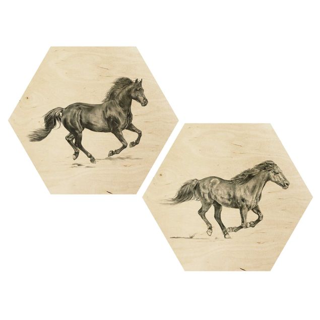 Wooden hexagon - Wild Horse Study Set I