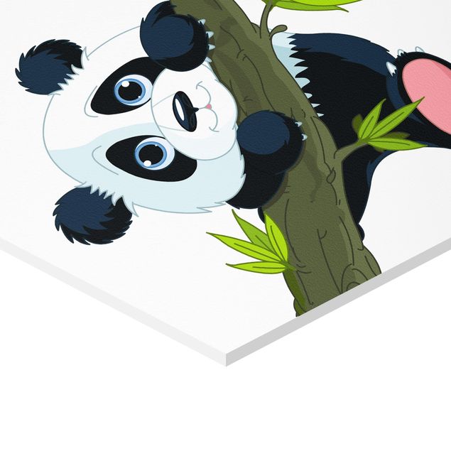 Forex photo prints Climbing Panda