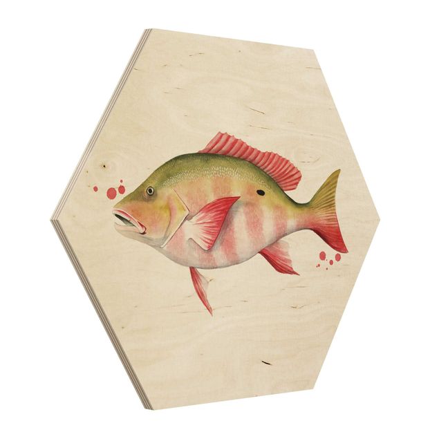 Wooden hexagon - Color Catch - Northern Red Snapper