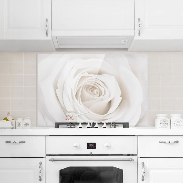 Glass splashback kitchen flower Pretty White Rose