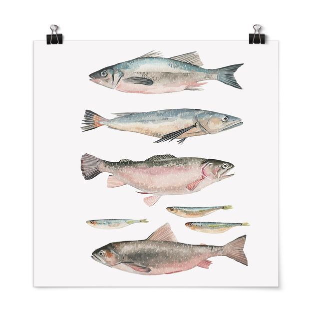 Animal canvas Seven Fish In Watercolour I