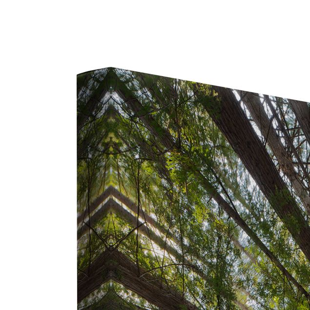 Green art prints Sequoia Tree Tops