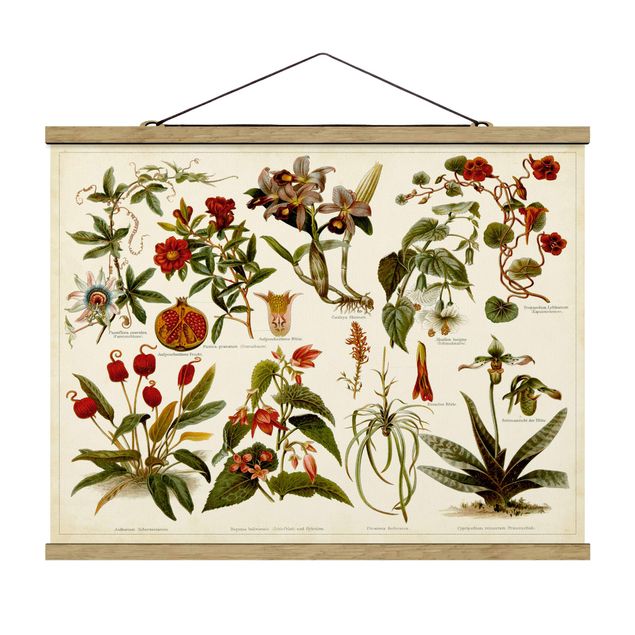 Prints flower Vintage Board Tropical Botany II