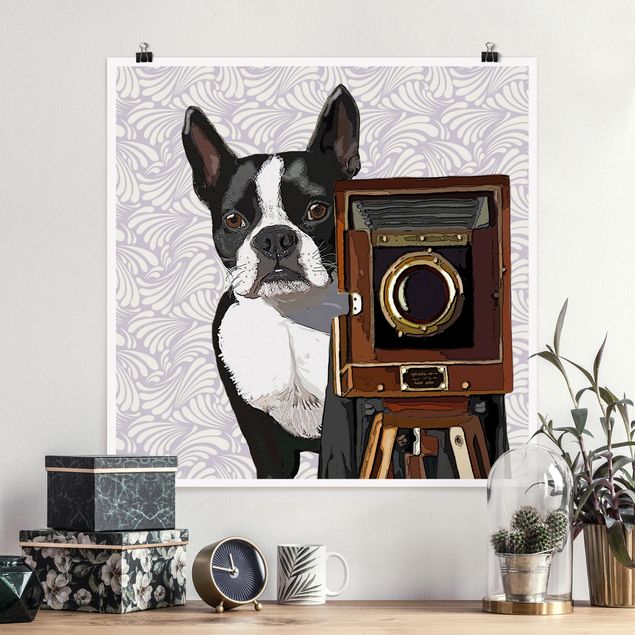 Dog canvas art Wildlife Photographer Terrier