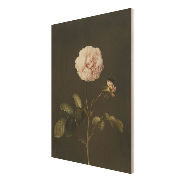 Wood prints flower Barbara Regina Dietzsch - French Rose With Bumblbee