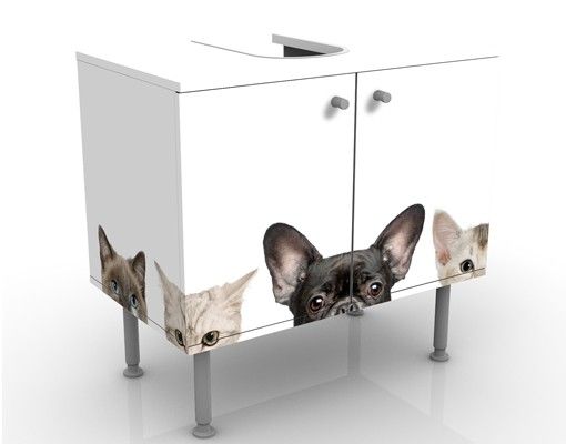 Sink unit bathroom Cats With Puppy Dog Eyes