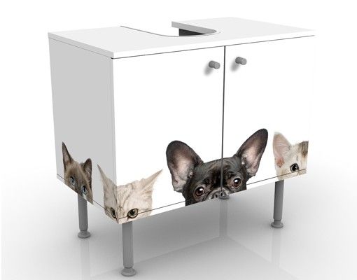Wash basin cabinet design - Cats With Puppy Dog Eyes