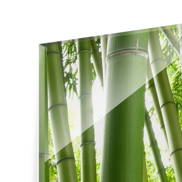 Glass Splashback - Bamboo Trees - Landscape 1:2
