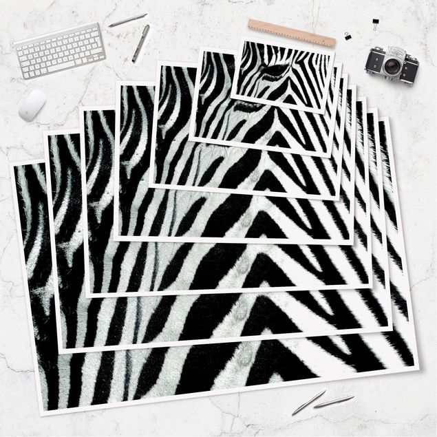 Poster print Zebra Crossing
