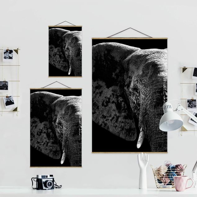 Black and white wall art African Elephant black and white