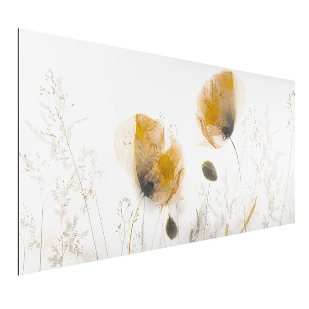 Kitchen Poppy Flowers And Delicate Grasses In Soft Fog