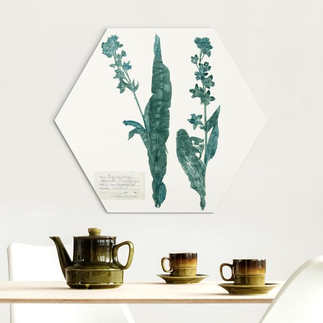 Dog wall art Pressed Flowers - Hound's Tongue