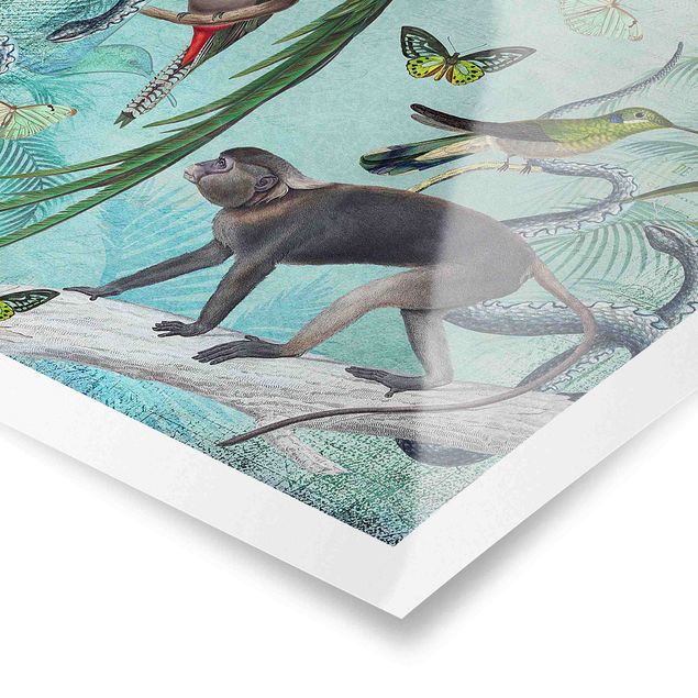 Green art prints Colonial Style Collage - Monkeys And Birds Of Paradise