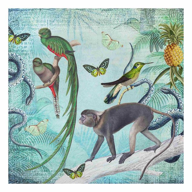 Prints monkey Colonial Style Collage - Monkeys And Birds Of Paradise