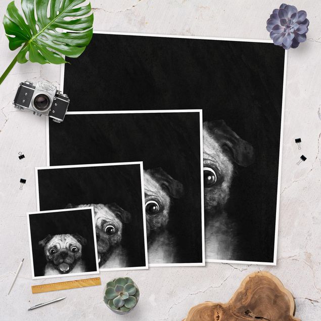 Laura Graves Art Illustration Dog Pug Painting On Black And White