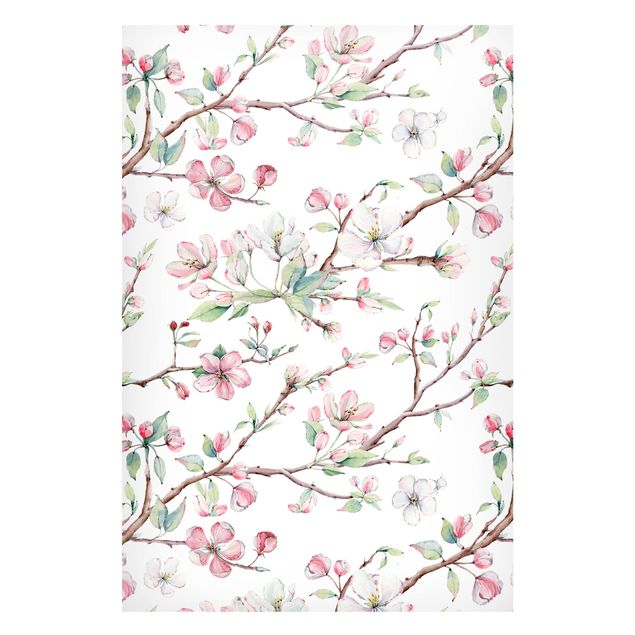 Magnet boards flower Watercolour Branches Of Apple Blossom In Light Pink And White