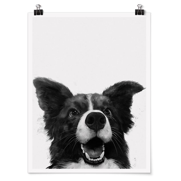 Posters art print Illustration Dog Border Collie Black And White Painting