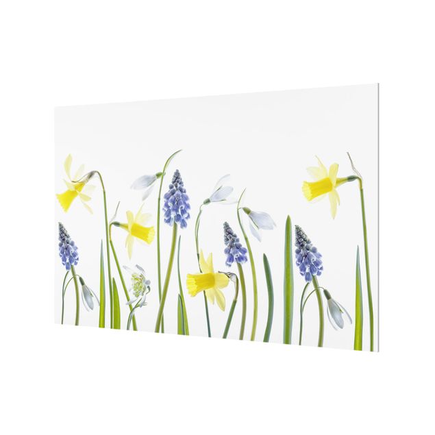 Glass Splashback - Spring Flowering - Landscape 2:3