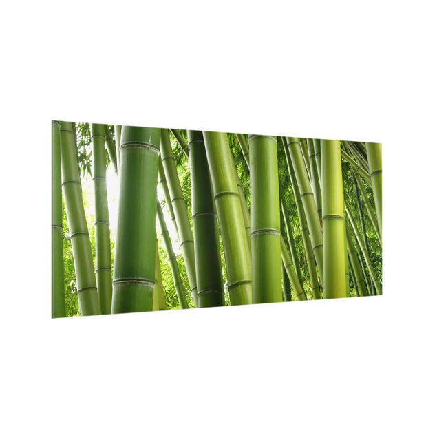 Glass splashback landscape Bamboo Trees