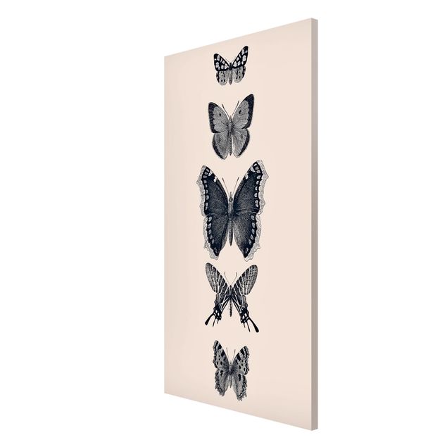 Magnet boards animals Ink Butterflies On Beige Backdrop