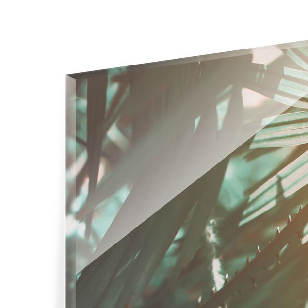 Glass Splashback - Tropical Plants Palm Trees At Sunset - Landscape 1:2