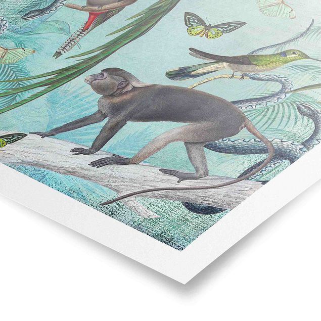 Animal canvas Colonial Style Collage - Monkeys And Birds Of Paradise
