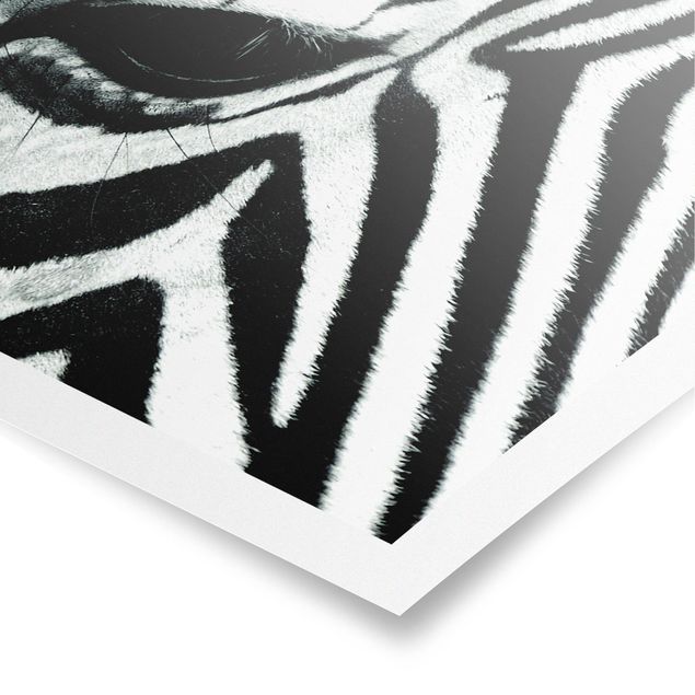 Contemporary art prints Zebra Crossing