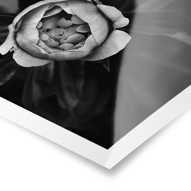 Prints Peonies In Front Of Leaves Black And White