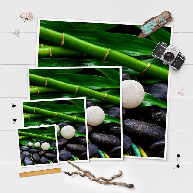 Prints Green Bamboo With Zen Stones