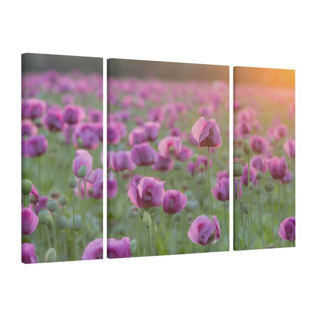 Prints floral Purple Poppy Flower Meadow In Spring