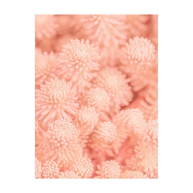 floral area rugs Light Pink Floral Magic Sedum