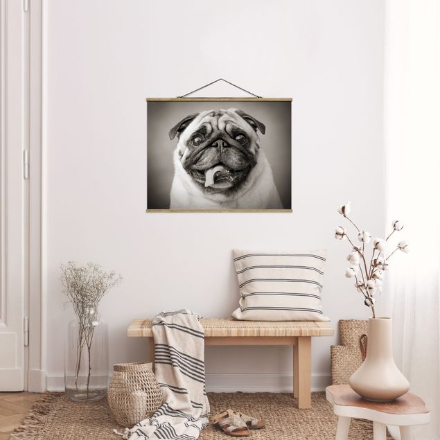 Tiger art print Funny Pug