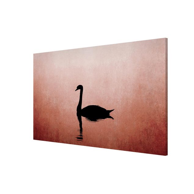 Magnet boards animals Swan In Sunset