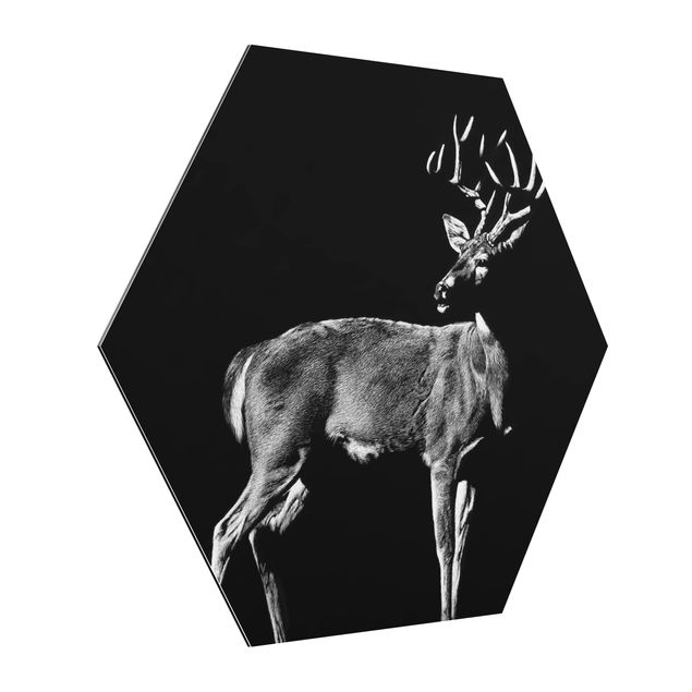 Contemporary art prints Deer In The Dark