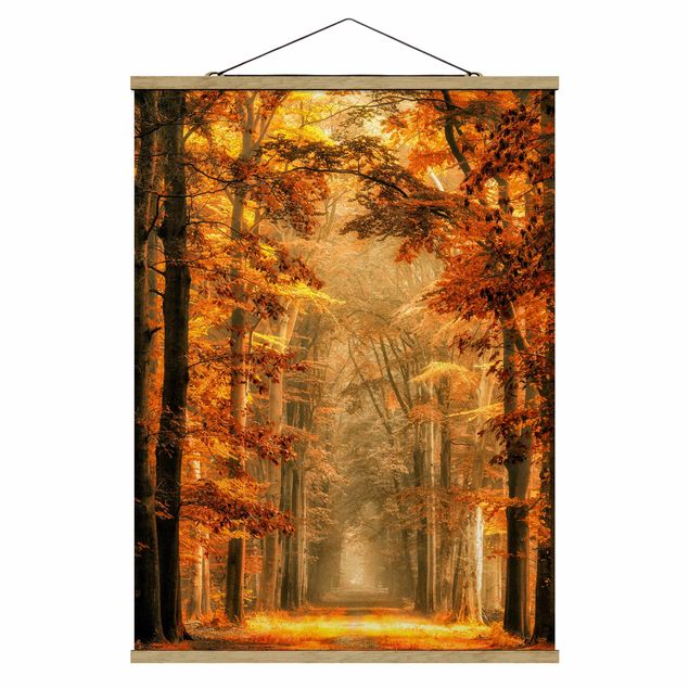 Prints modern Enchanted Forest In Autumn