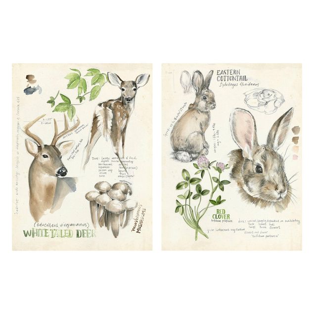Flower print Wilderness Journal - Deer And Rabbits Set II