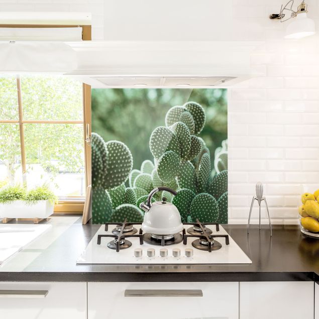 Glass splashback kitchen flower Cacti