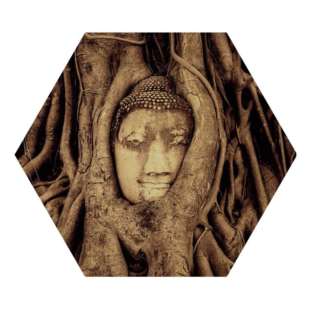 Prints Buddha In Ayutthaya Lined From Tree Roots In Brown