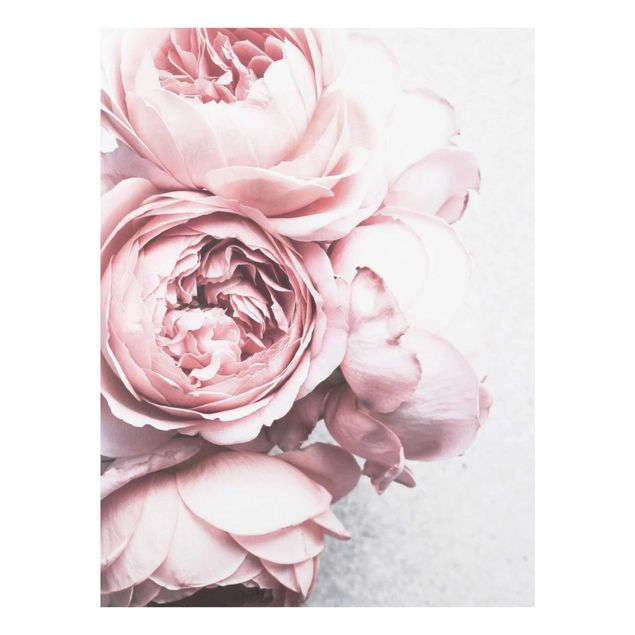 Pink art canvas Pink peony blossoms shabby pastel