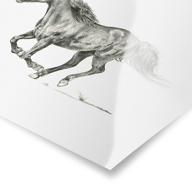 Contemporary art prints Wild Horse Trial - Mare