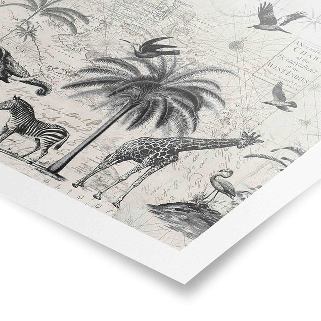 Prints landscape Vintage Collage - Exotic Map