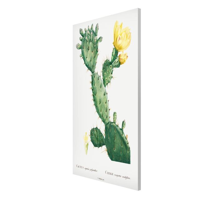 Prints vintage Botany Vintage Illustration Cactus With Yellow Flower