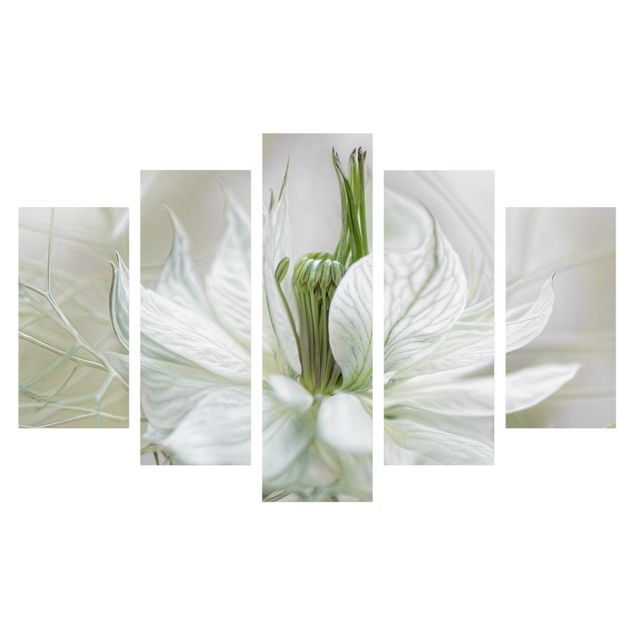 Floral prints White Nigella