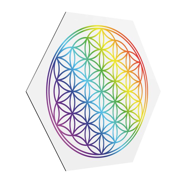 Prints patterns Flower of Life rainbow color