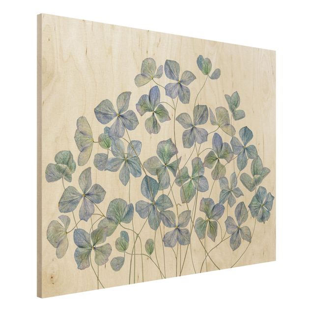 Wood prints flower Blue Hydrangea Flowers