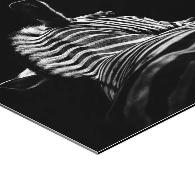 Hexagonal prints Dark Zebra Silhouette
