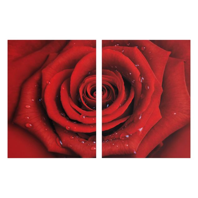 Prints modern Red Rose With Water Drops