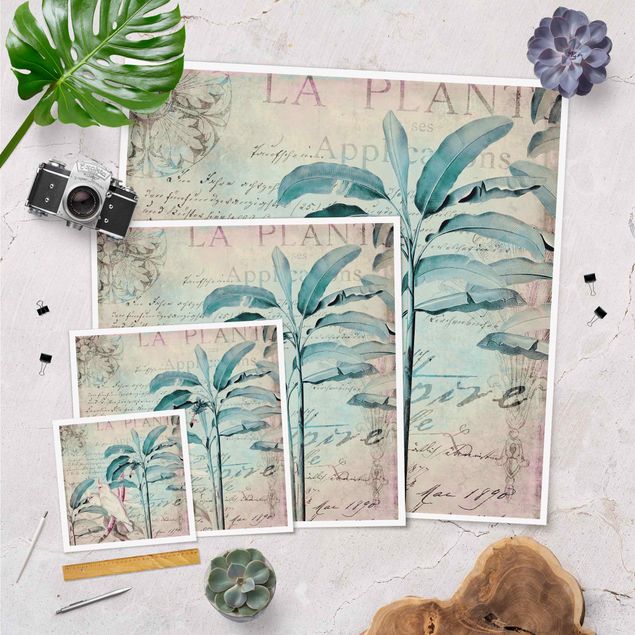 Poster print Colonial Style Collage - Cockatoos And Palm Trees