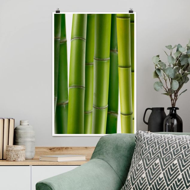Kitchen Bamboo Plants