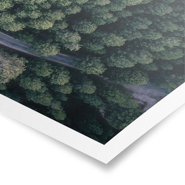 Landscape poster prints Aerial View - Forest Road From The Top